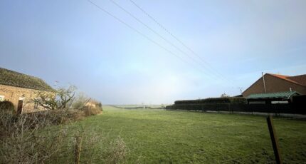 Arleux Terrain à bâtir - 2354792-10617annonce120251202yWcWT.jpeg Maisons Open