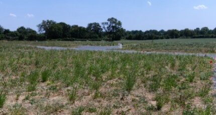 La Membrolle-sur-Longuenée Terrain à bâtir - 2395148-10544annonce120260116nfqTx.jpeg Maisons Open