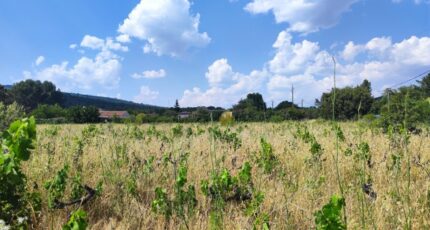 Garéoult Terrain à bâtir - 2395166-11039annonce120260116Fnl3Z.jpeg Maisons Open