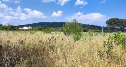 Garéoult Terrain à bâtir - 2395166-11039annonce220260116KdMQy.jpeg Maisons Open