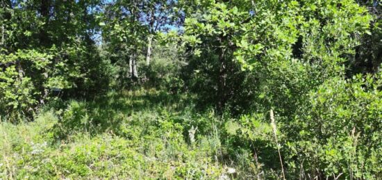 Terrain à bâtir à , Var