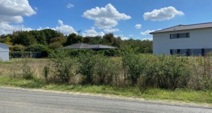 Le Taillan-Médoc Terrain à bâtir - 2369014-11689annonce120251215sIqEw.jpeg Maisons Open