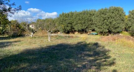 Carnoules Terrain à bâtir - 2394840-9599annonce120260115To1Ts.jpeg Maisons Open