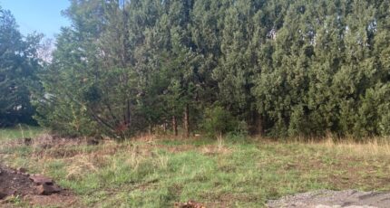 Solliès-Toucas Terrain à bâtir - 2395455-9599annonce120260116f0yzG.jpeg Maisons Open