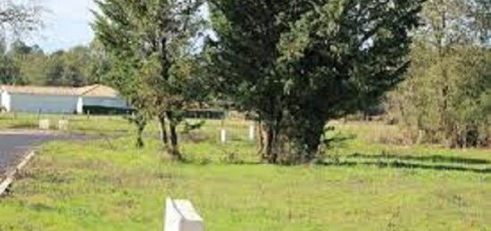 Terrain à bâtir à Belin-Béliet, Nouvelle-Aquitaine