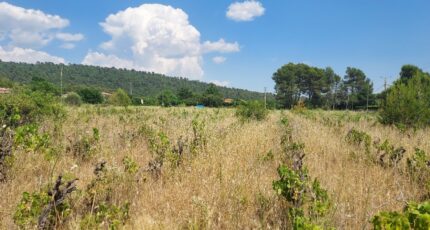 Garéoult Terrain à bâtir - 2395640-11137annonce1202601167lNv1.jpeg Maisons Open