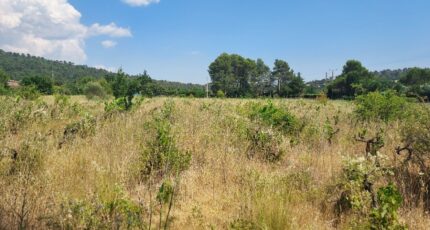 Garéoult Terrain à bâtir - 2395640-11137annonce320260116zL4BN.jpeg Maisons Open