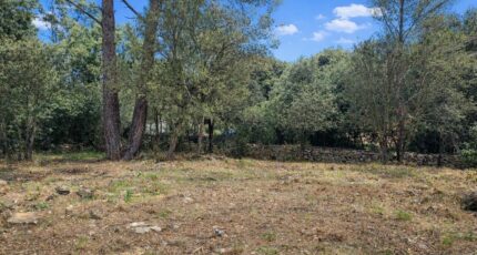 Garéoult Terrain à bâtir - 2395609-11137annonce120260116efJ1U.jpeg Maisons Open