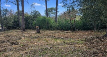 Garéoult Terrain à bâtir - 2395609-11137annonce320260116lyoai.jpeg Maisons Open