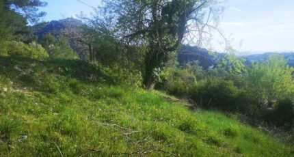 Saint-André-de-la-Roche Terrain à bâtir - 2324364-3059annonce120251031ftPgl.jpeg Maisons Open