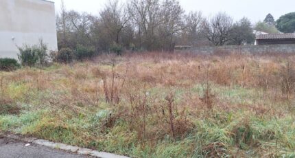 Plaisance-du-Touch Terrain à bâtir - 2395396-9555annonce220260116JI3mB.jpeg Maisons Open