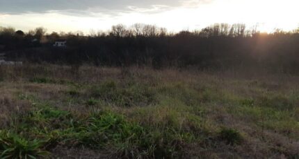 Saint-Alban Terrain à bâtir - 2395163-5202annonce120260116uULLg.jpeg Maisons Open