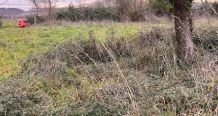 Targon Terrain à bâtir - 2395874-3601annonce220260116aHCvk.jpeg Maisons Open