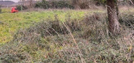 Terrain à bâtir à , Gironde