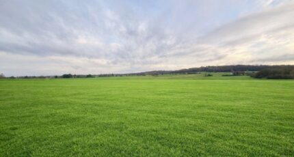 Saint-Germain-et-Mons Terrain à bâtir - 2396092-11709annonce120260116Lavca.jpeg Maisons Open