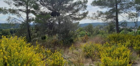 Terrain à bâtir à Draguignan, Provence-Alpes-Côte d'Azur