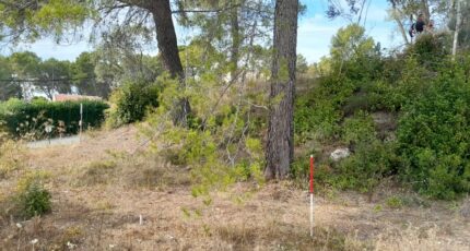 Draguignan Terrain à bâtir - 2396223-9911annonce420260116C87pL.jpeg Maisons Open