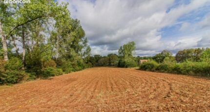 Cherveix-Cubas Terrain à bâtir - 2396414-11235annonce120260117h5ZkT.jpeg Maisons Open