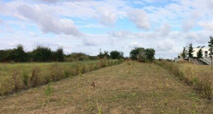 Moult Terrain à bâtir - 2396651-11563annonce220250927I1zvE.jpeg Maisons Open