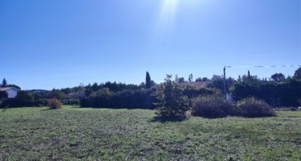 Garéoult Terrain à bâtir - 2397126-11039annonce120260119OBxsT.jpeg Maisons Open