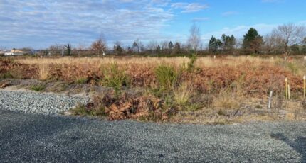 Saint-Magne Terrain à bâtir - 2397388-11689annonce120251219UrQMq.jpeg Maisons Open