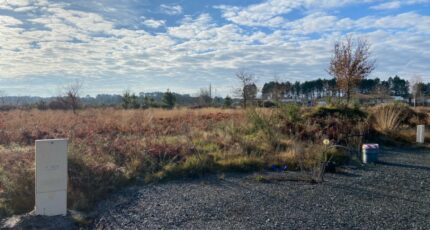 Le Taillan-Médoc Terrain à bâtir - 2397392-11689annonce120251219r6PSZ.jpeg Maisons Open