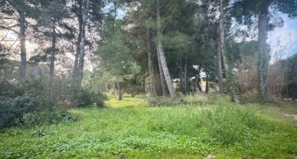 Saint-Chamas Terrain à bâtir - 2397369-7054annonce120260119eLMl1.jpeg Maisons Open