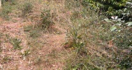 Cadillac Terrain à bâtir - 2393509-3601annonce120260115G8S3b.jpeg Maisons Open