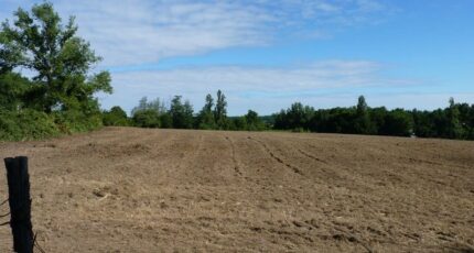 Beychac-et-Caillau Terrain à bâtir - 2393009-3601annonce120260114dbfw4.jpeg Maisons Open