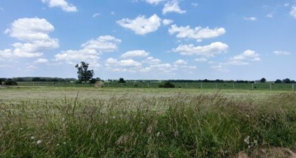 Jarzé Terrain à bâtir - 2397901-10544annonce120260119lKWnG.jpeg Maisons Open