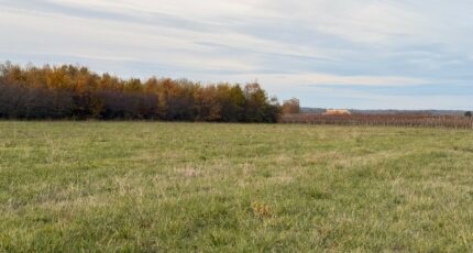 Saint-Laurent-des-Vignes Terrain à bâtir - 2397867-11709annonce120260119gkgE6.jpeg Maisons Open