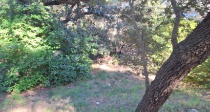 Martigues Terrain à bâtir - 2308545-7050annonce120251017ZdwrT.jpeg Maisons Open