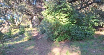 Martigues Terrain à bâtir - 2308545-7050annonce220251017ssqA2.jpeg Maisons Open