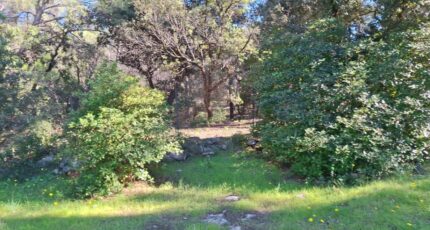 Martigues Terrain à bâtir - 2316831-7050annonce220251024lmAsH.jpeg Maisons Open