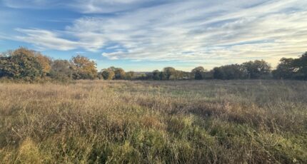 Garrigues-Sainte-Eulalie Terrain à bâtir - 2398177-609annonce1202601195sShV.jpeg Maisons Open