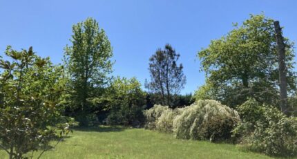 Landiras Terrain à bâtir - 2398142-10895annonce120260119nIiSk.jpeg Maisons Open