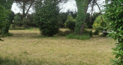 Saint-Maixant Terrain à bâtir - 2390420-9573annonce120260113cuRaK.jpeg Maisons Open