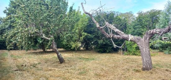 Terrain à bâtir à Montpon-Ménestérol, Nouvelle-Aquitaine
