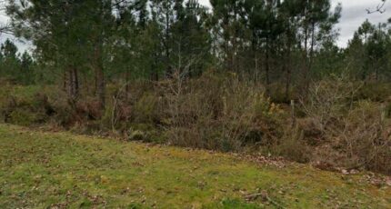 Podensac Terrain à bâtir - 2398584-3601annonce120260120DnLEm.jpeg Maisons Open