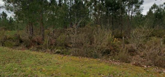 Terrain à bâtir à Podensac, Nouvelle-Aquitaine