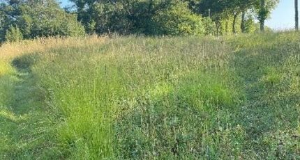 Villefranche-de-Lauragais Terrain à bâtir - 2397965-annonceTerrain-20260119153458.JPEG Maisons Open