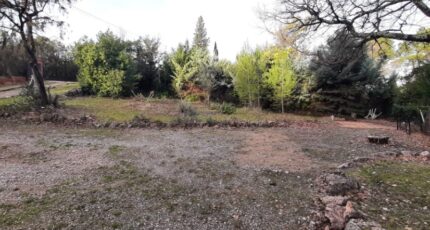 Le Thoronet Terrain à bâtir - 2398674-10295annonce120260120vxEqP.jpeg Maisons Open