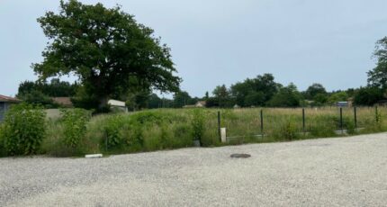 Hourtin Terrain à bâtir - 2397328-11689annonce120251117rgOUm.jpeg Maisons Open