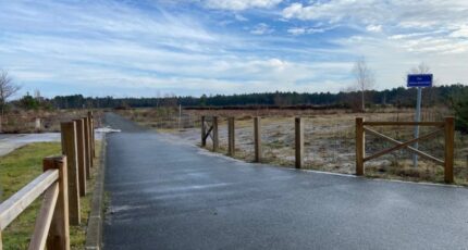 Castres-Gironde Terrain à bâtir - 2373103-11689annonce1202512191Gg7v.jpeg Maisons Open