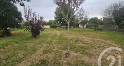 Saint-Martory Terrain à bâtir - 2309271-4594annonce3202510176tCSZ.jpeg Maisons Open