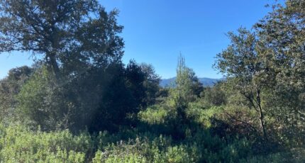 Puget Terrain à bâtir - 2398735-7060annonce320250418CE94U.jpeg Maisons Open