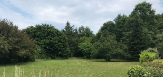 Terrain à bâtir à Belin-Béliet, Nouvelle-Aquitaine