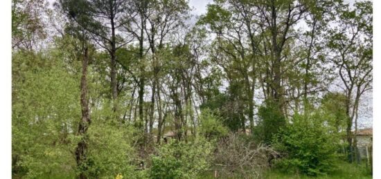 Terrain à bâtir à Castelnau-de-Médoc, Nouvelle-Aquitaine