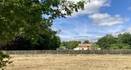 Le Taillan-Médoc Terrain à bâtir - 2304797-11370annonce120251014ZMUF8.jpeg Maisons Open