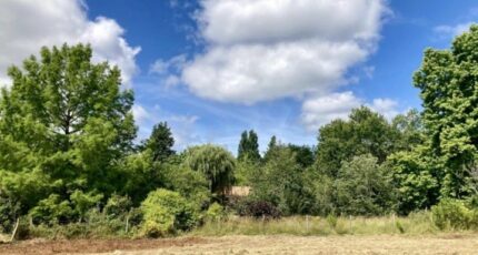 Le Taillan-Médoc Terrain à bâtir - 2304795-11370annonce120251014poasB.jpeg Maisons Open